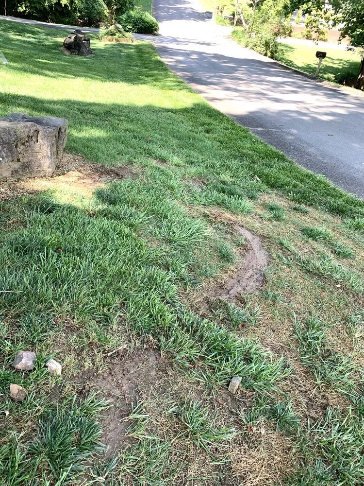 Reliable landscape design in New Market, TN by Clear Choice Landscape