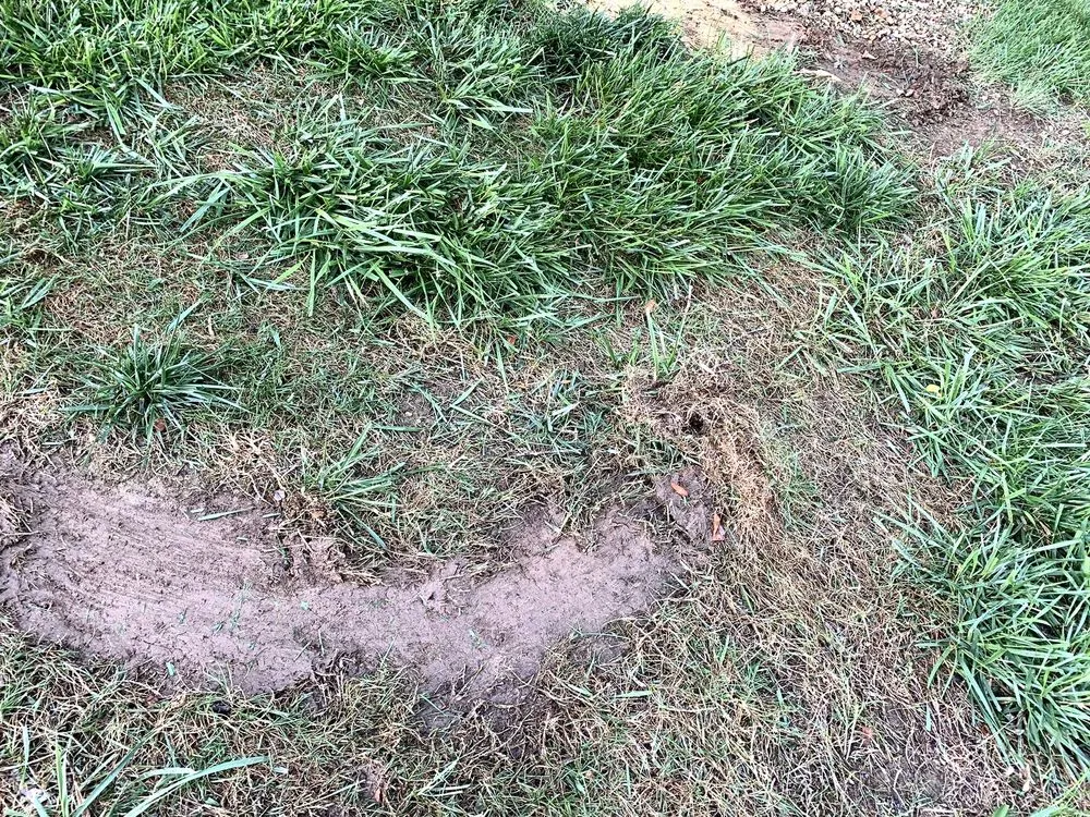 Custom lawn care service experts serving New Market, TN - Clear Choice Landscape