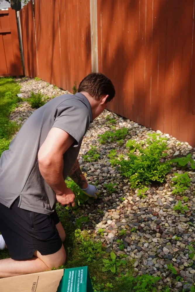 Affordable yard cleanup service in Shakopee, MN by Clear Choice Services
