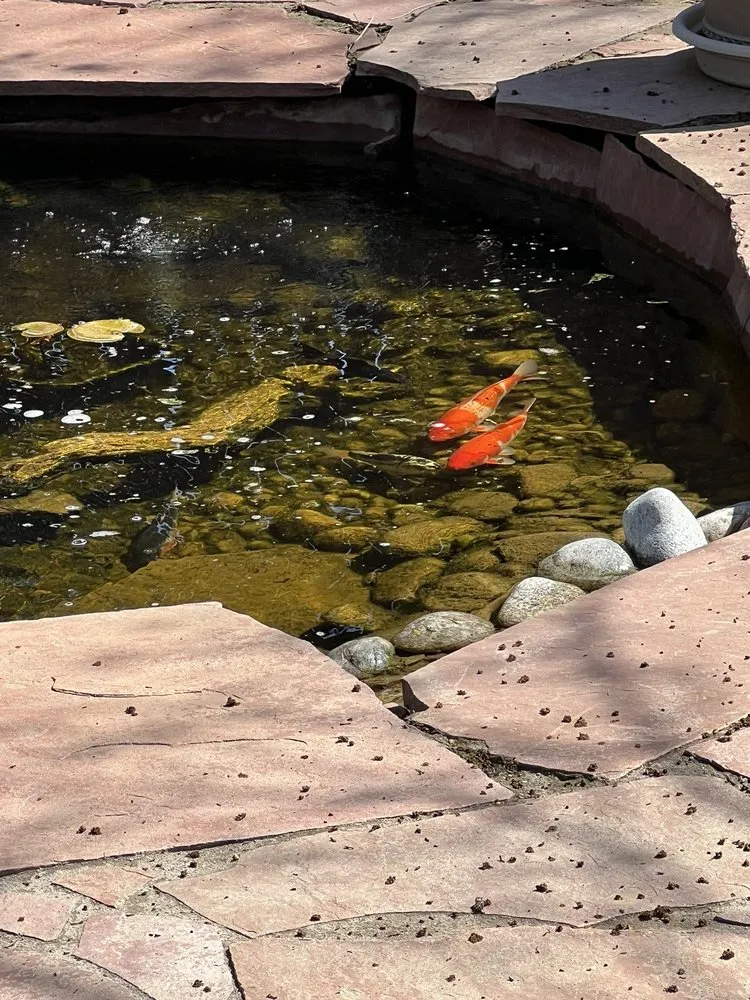 Custom landscaping services experts serving Denver, CO - Clear Choice Waterscapes