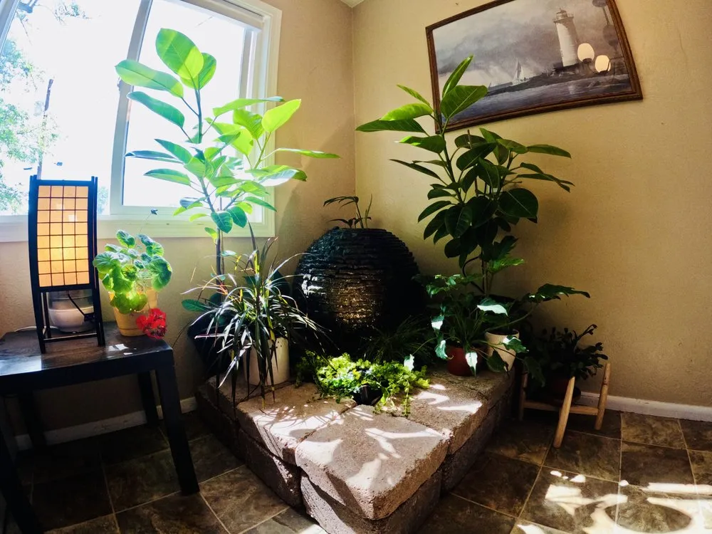 Local lawn care service in Farmington, NM - Clear Creek Landscape