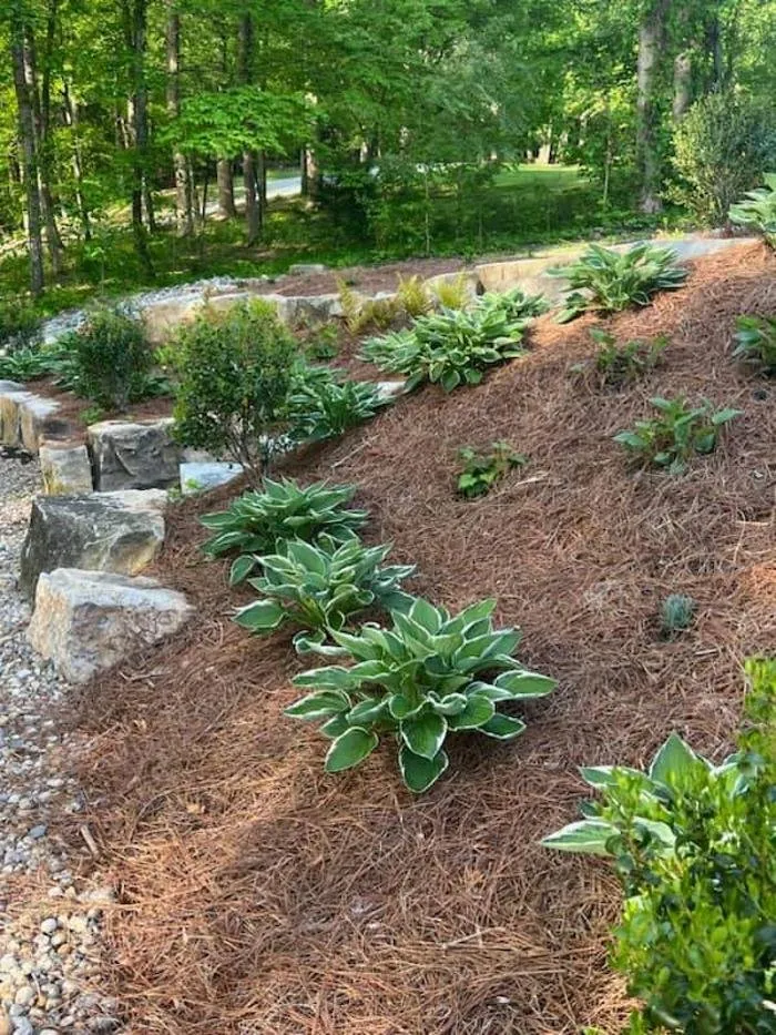 Affordable landscape design in Knoxville, TN - Clear Creek Landscaping