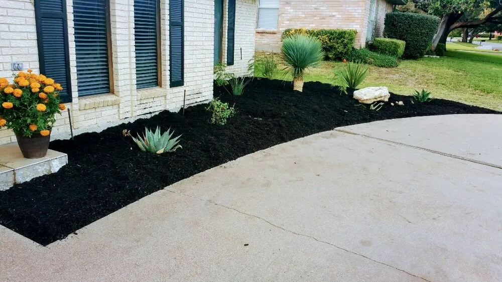 Local yard maintenance in Fort Worth, TX - Clear Cut Home & Commercial Solutions