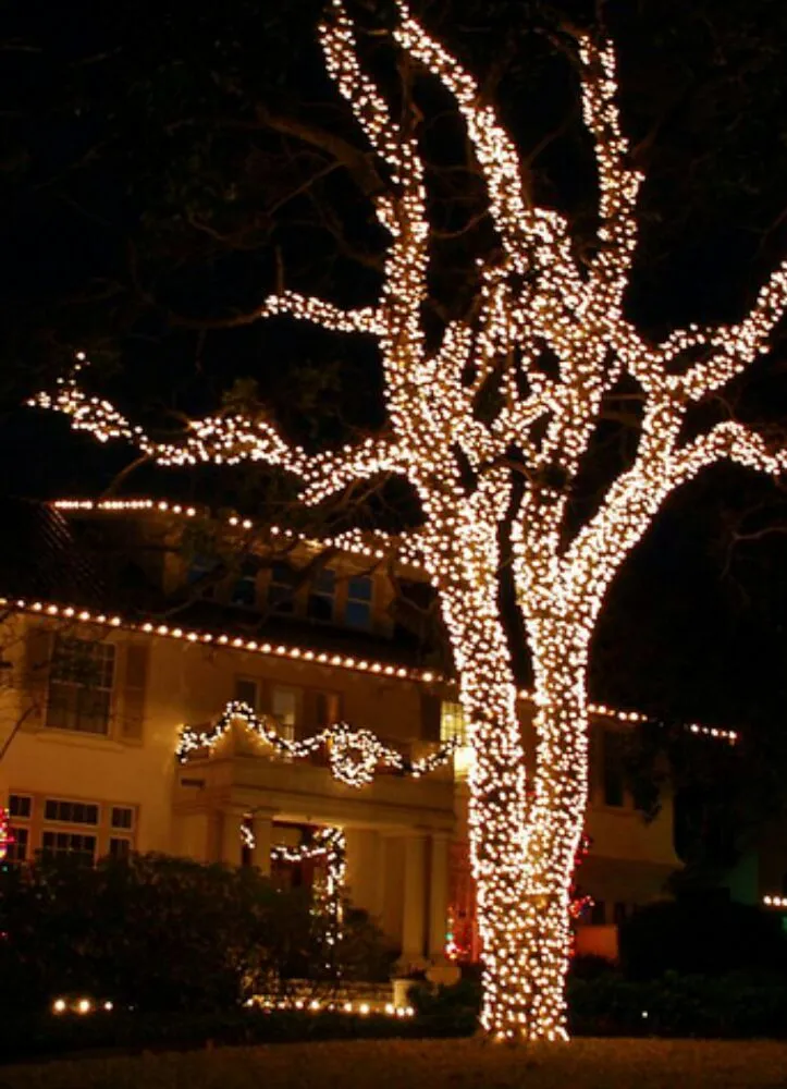 Top-rated landscape installation in Fort Worth, TX by Clear Cut Home & Commercial Solutions