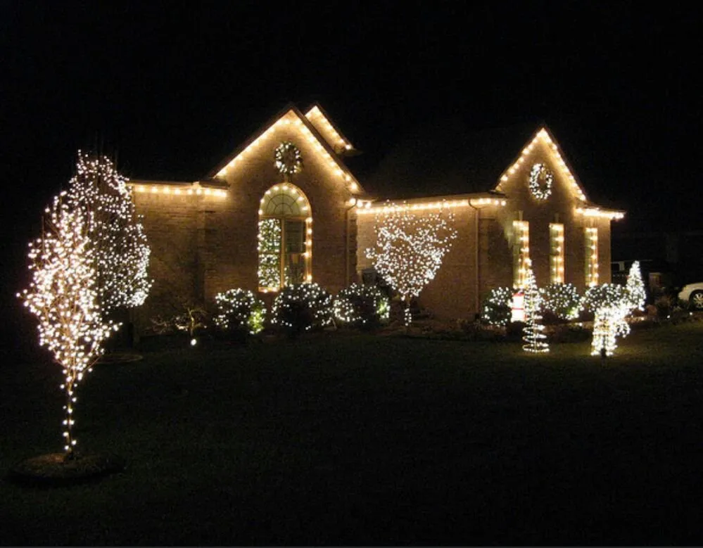 Local yard cleanup service experts serving Fort Worth, TX - Clear Cut Home & Commercial Solutions