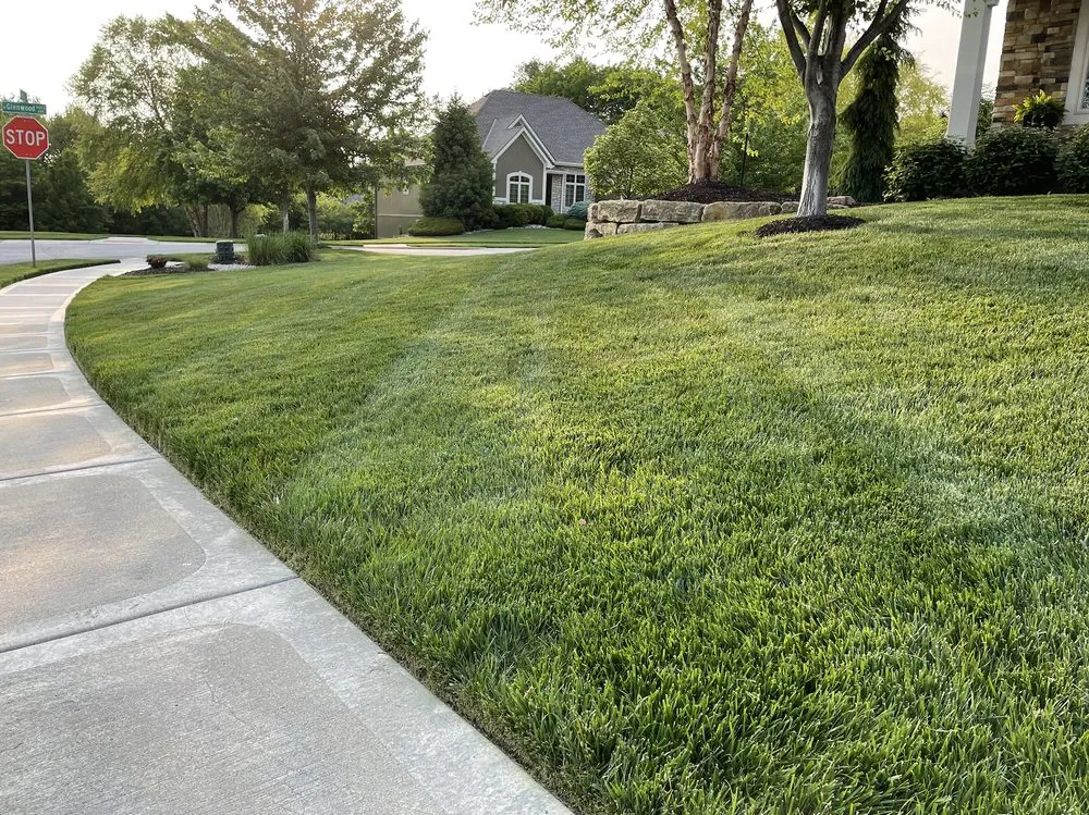 Top-rated garden landscaping for beautiful yards across Kansas City, MO - Clear Cut KC