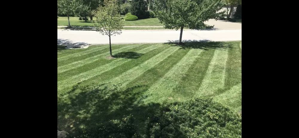 Expert yard cleanup service near you across Kansas City, MO - Clear Cut KC
