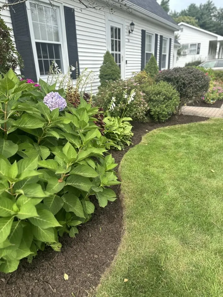 Professional landscape installation in Glens Falls, NY - Clear Cut Landscape & Design