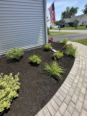 Clear Cut Landscape & Design