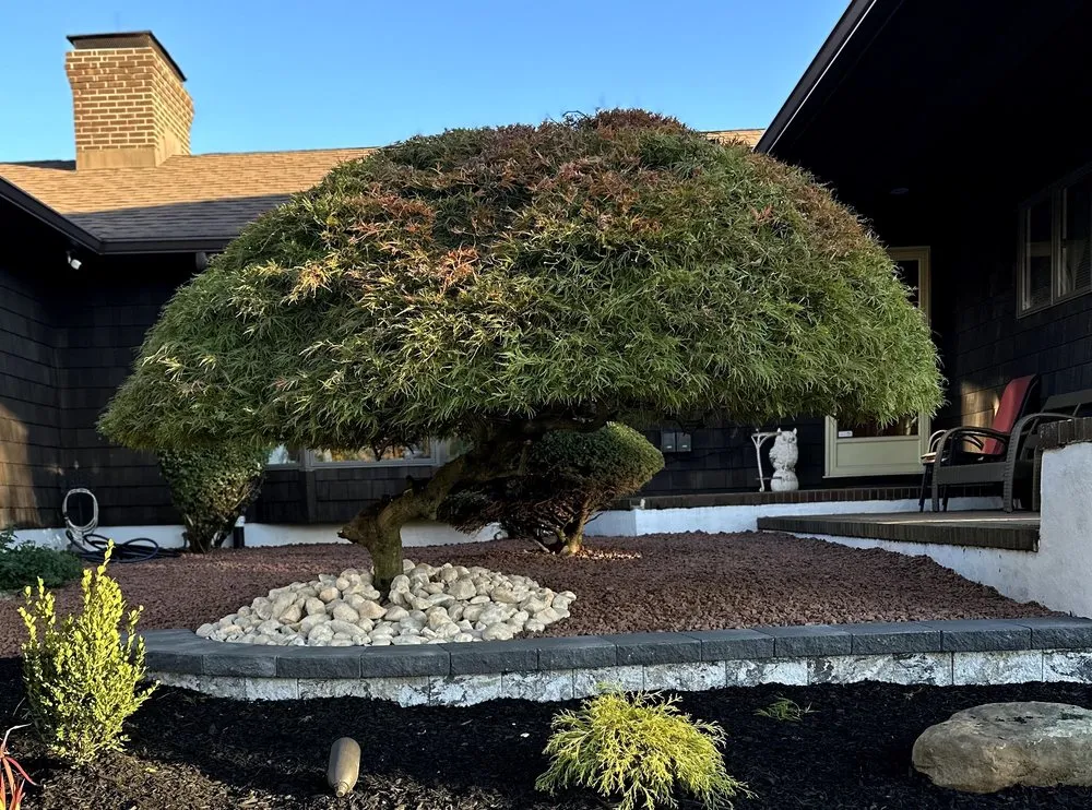 Custom outdoor landscaping in Freehold, NJ by Clear Cut Landscaping