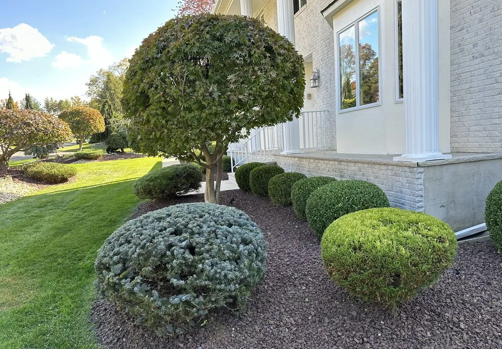 Professional garden landscaping with custom design across Freehold, NJ - Clear Cut Landscaping