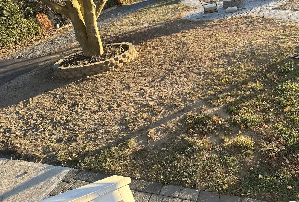 Affordable lawn mowing service in Freehold, NJ - Clear Cut Landscaping