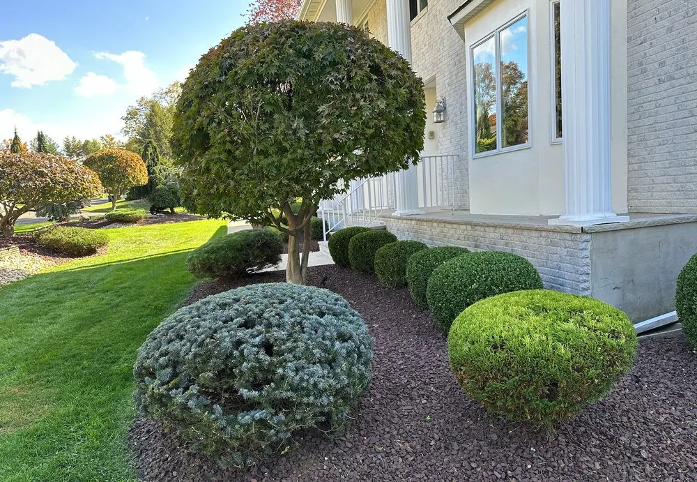 Expert yard maintenance for homes in Freehold, NJ by Clear Cut Landscaping