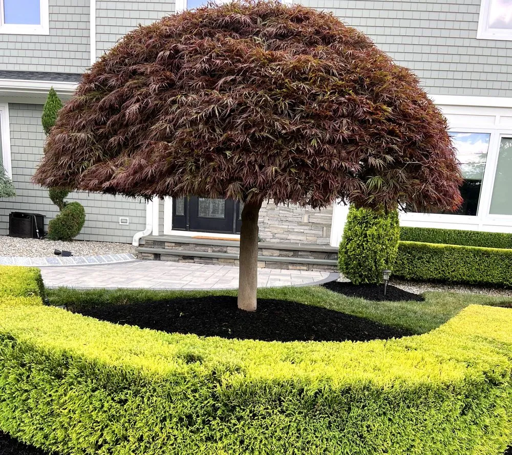 Affordable residential landscaping for residential properties in Freehold, NJ by Clear Cut Landscaping