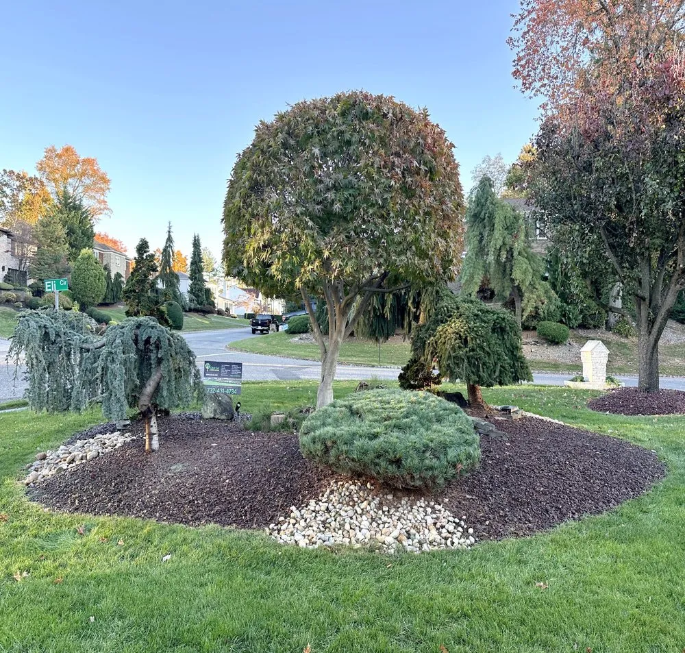 Reliable yard maintenance near you in Freehold, NJ by Clear Cut Landscaping