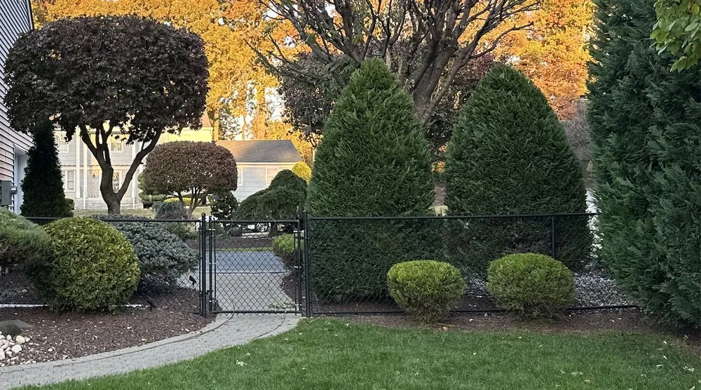 Local yard maintenance near you in Freehold, NJ by Clear Cut Landscaping