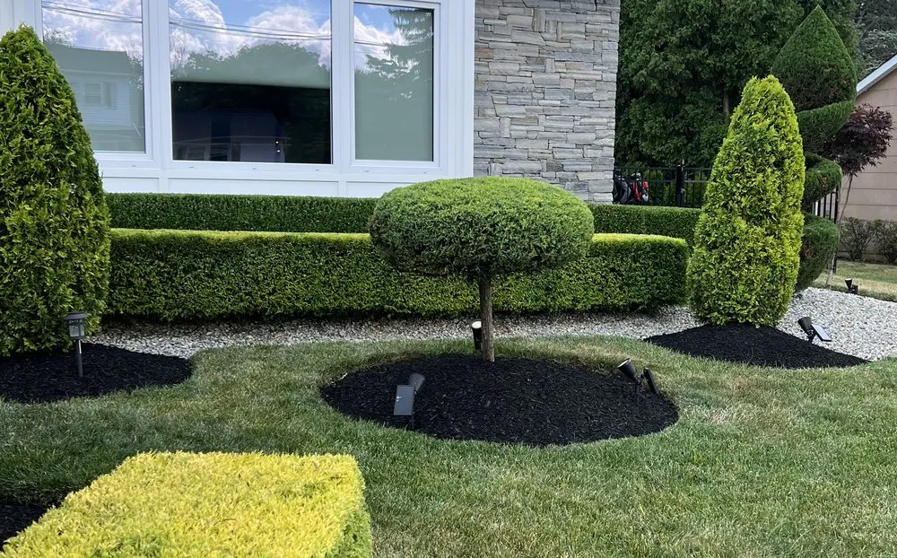 Reliable lawn care service for homes in Freehold, NJ by Clear Cut Landscaping