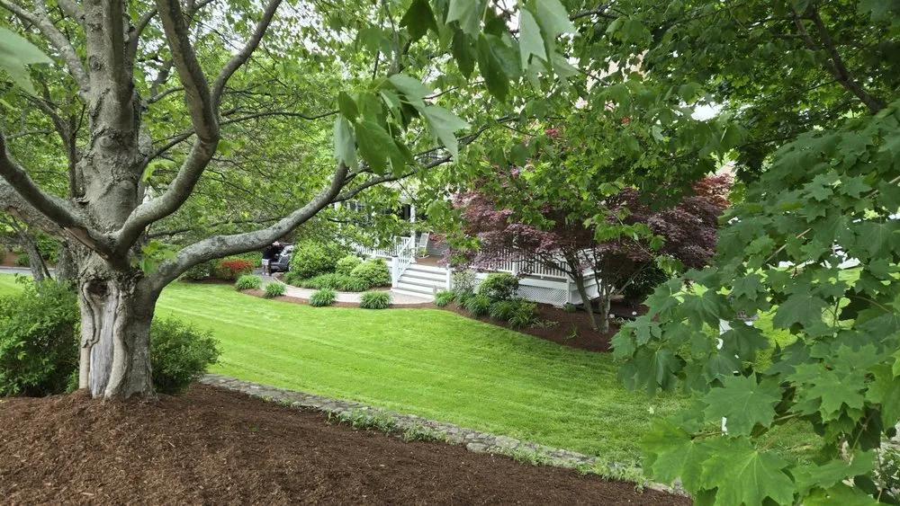 Top-rated lawn care service in Hanson, MA by Clear Cut Landscaping