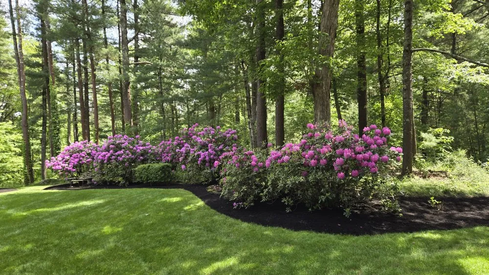Local residential landscaping for outdoor upgrades in Hanson, MA by Clear Cut Landscaping