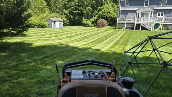 Clear Cut Landscaping