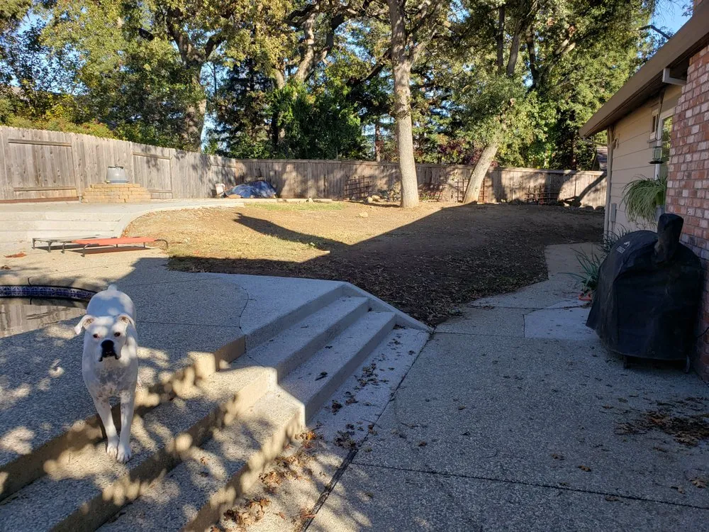 Affordable yard maintenance near you across Orangevale, CA - Clear Cut Landscaping