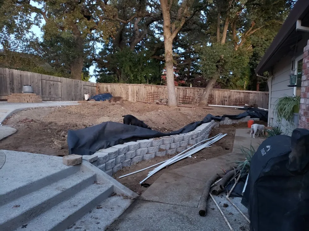 Local yard cleanup service in Orangevale, CA by Clear Cut Landscaping