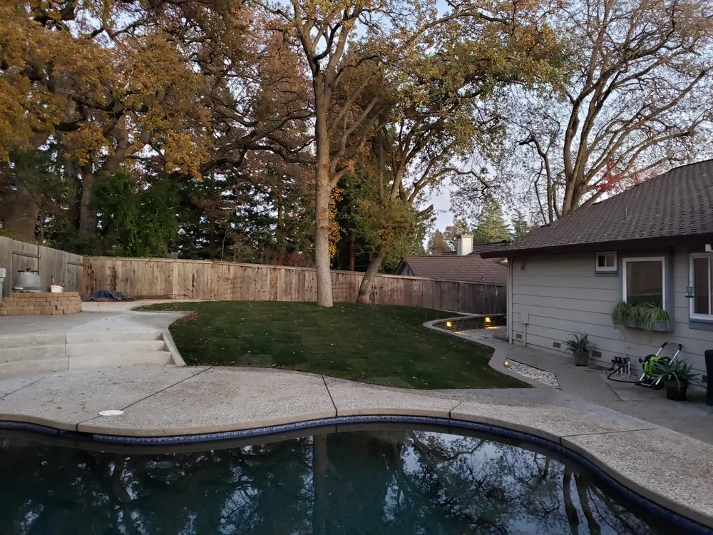 Local yard cleanup service for residential properties in Orangevale, CA by Clear Cut Landscaping