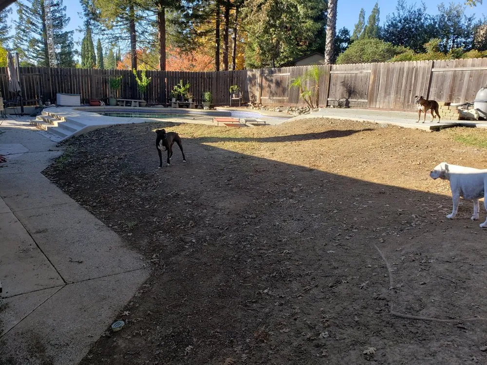 Custom landscape installation experts serving Orangevale, CA - Clear Cut Landscaping