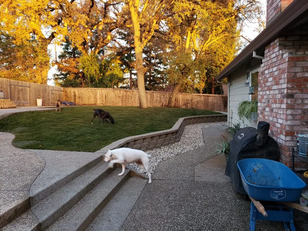 Custom landscape installation near you across Orangevale, CA - Clear Cut Landscaping