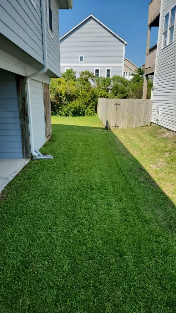 Trusted yard cleanup service experts serving Wilmington, NC - Clear Cut Landscaping