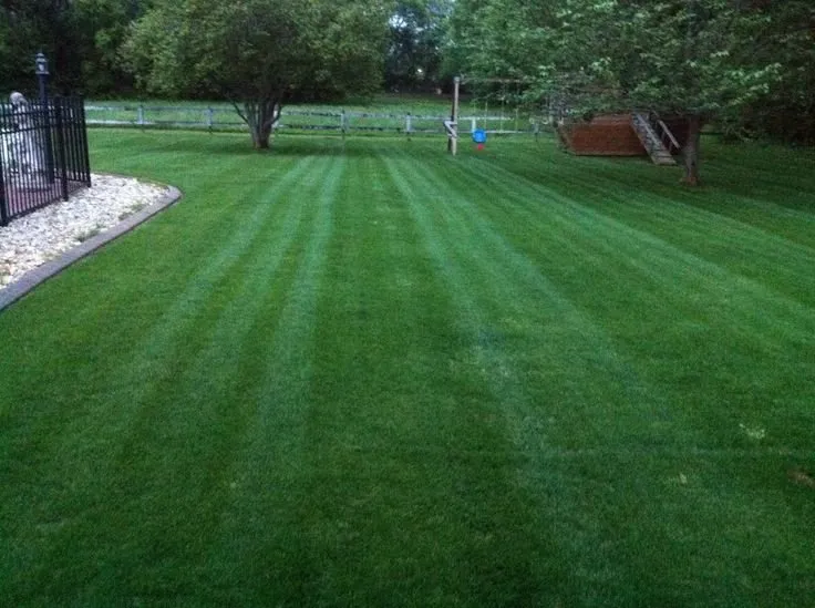 Top-rated landscaping services for year-round maintenance in Yorktown, VA by Clear Cut Landscaping