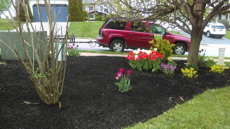 Expert lawn care service in York, PA by Clear Cut Lawn Care