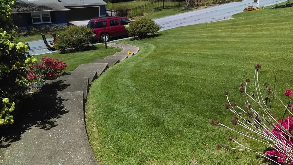 Local residential landscaping for year-round maintenance in York, PA by Clear Cut Lawn Care