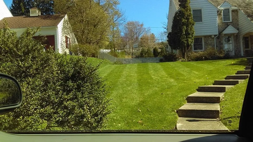 Top-rated yard cleanup service for beautiful yards in York, PA by Clear Cut Lawn Care