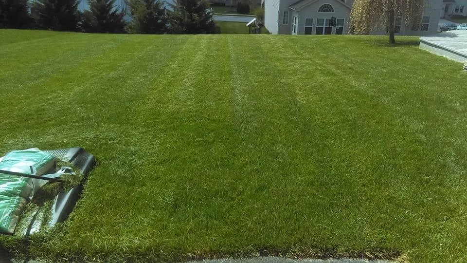 Top-rated outdoor landscaping in York, PA by Clear Cut Lawn Care