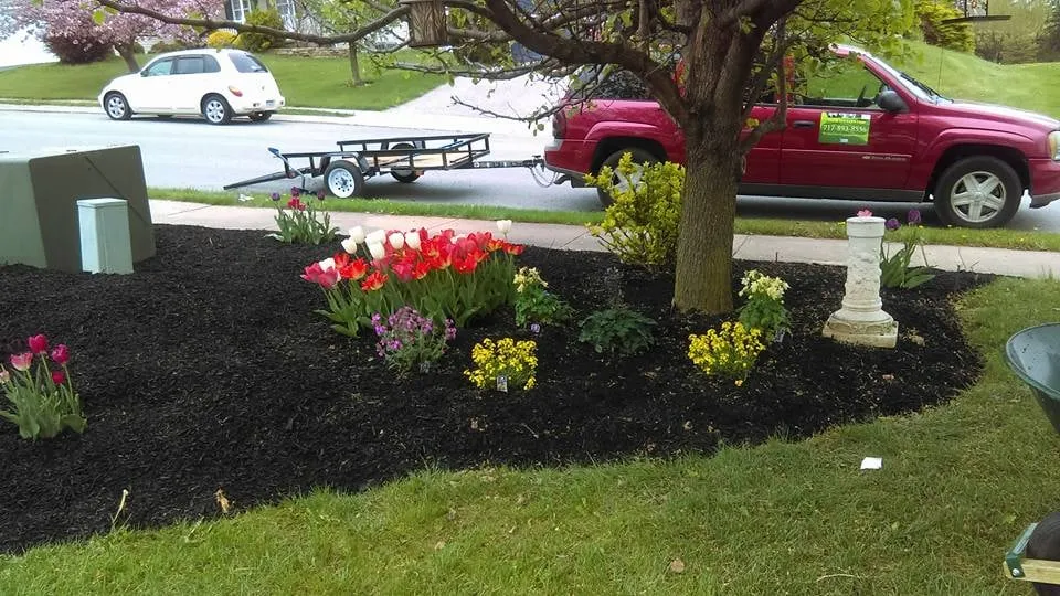 Expert landscaping services in York, PA - Clear Cut Lawn Care