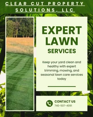 Clear Cut Property Solutions