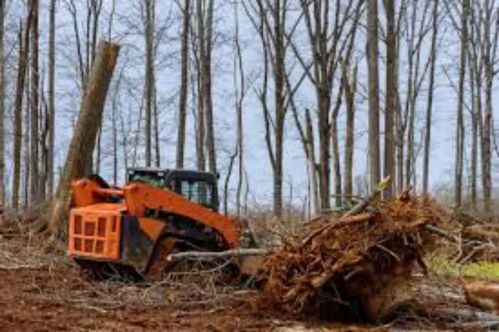 Custom yard cleanup service experts serving Pendergrass, GA - Clear Cuts Land Clearing