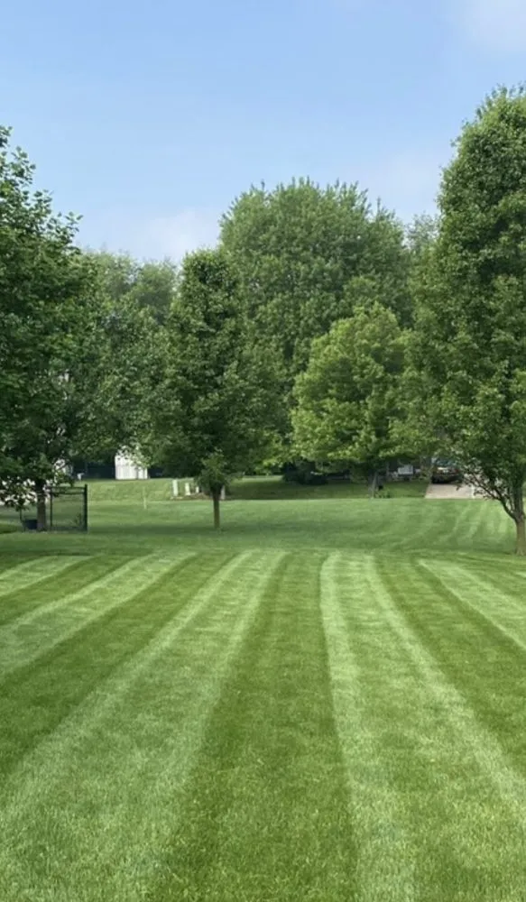 Professional yard cleanup service experts serving Monroe, MI - Clear Cuts Lawn Care