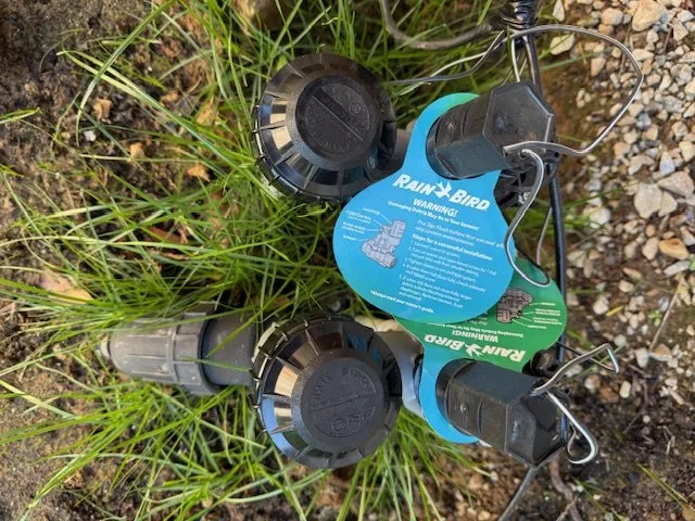 Trusted yard maintenance in Folsom, CA - Clear Disposal