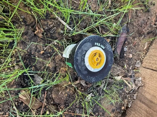 Custom yard maintenance for residential properties in Folsom, CA by Clear Disposal