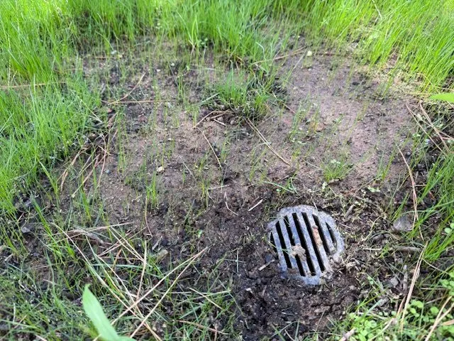 Professional residential landscaping experts serving Folsom, CA - Clear Disposal