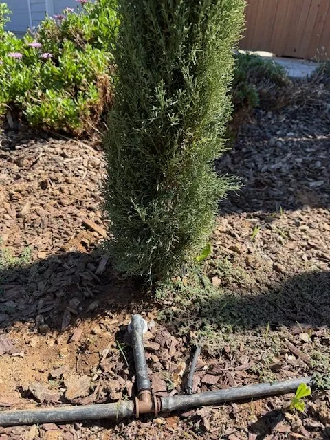 Local landscape design in Folsom, CA - Clear Disposal