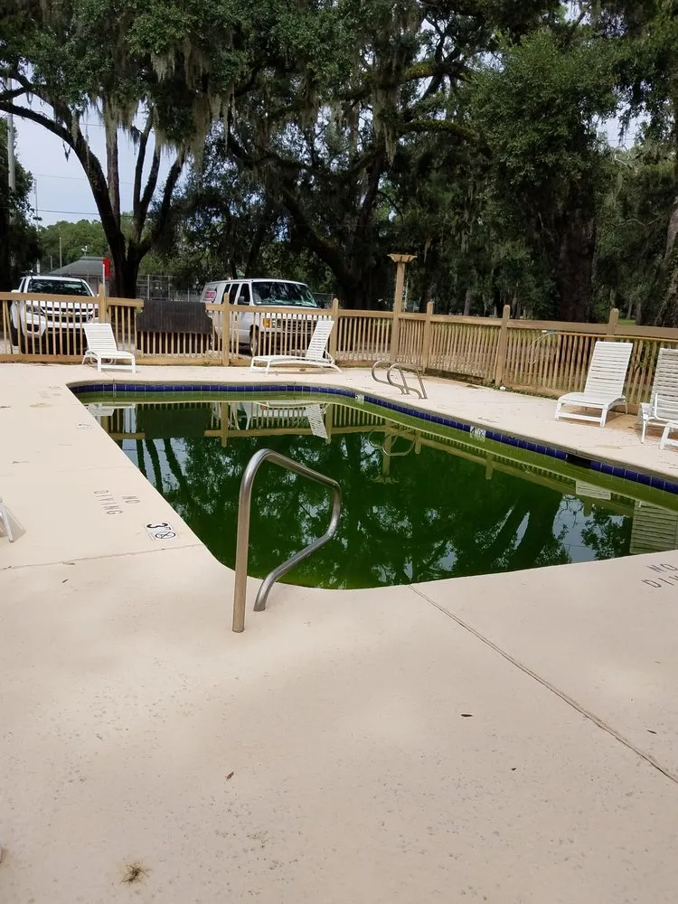 Expert landscaping services experts serving Brunswick, GA - Clear Edge Pool & Lawn Services