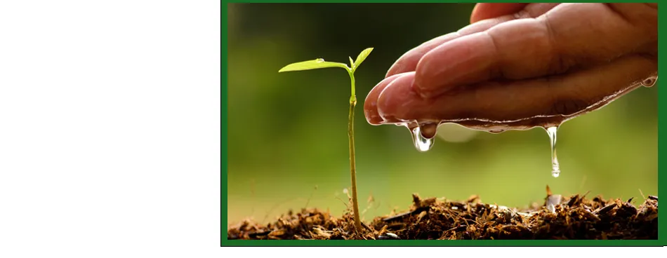 Trusted lawn care service in Aledo, TX - Clear Fork Materials