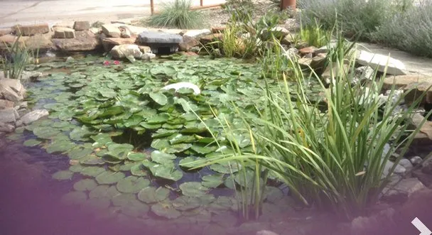 Custom landscaping services for homes across Aledo, TX - Clear Fork Materials