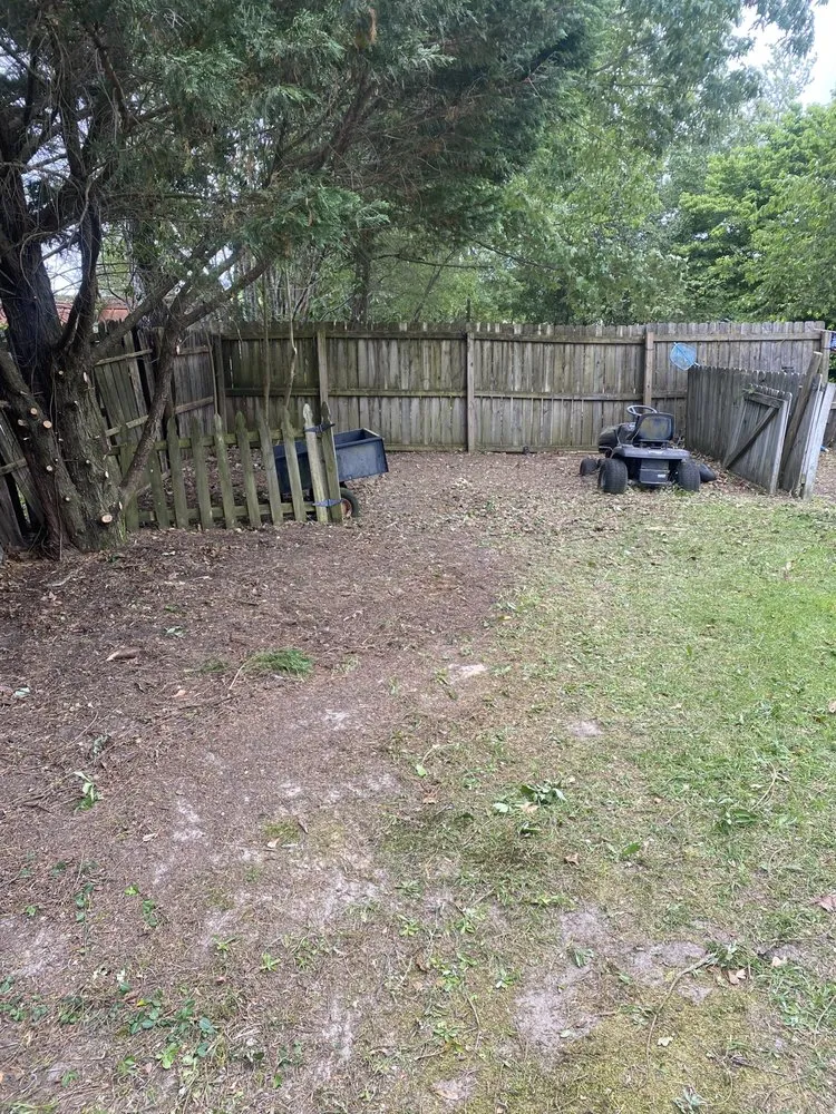 Affordable yard maintenance in Hope Mills, NC - Clear Grove Property Solutions