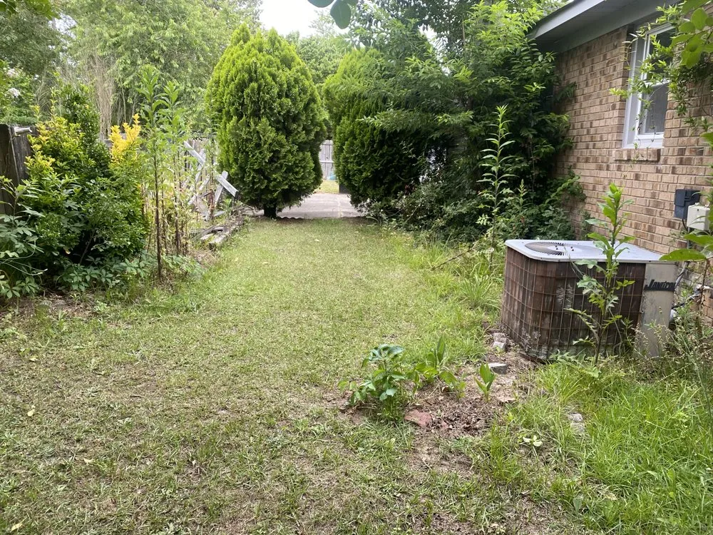 Expert yard cleanup service in Hope Mills, NC - Clear Grove Property Solutions