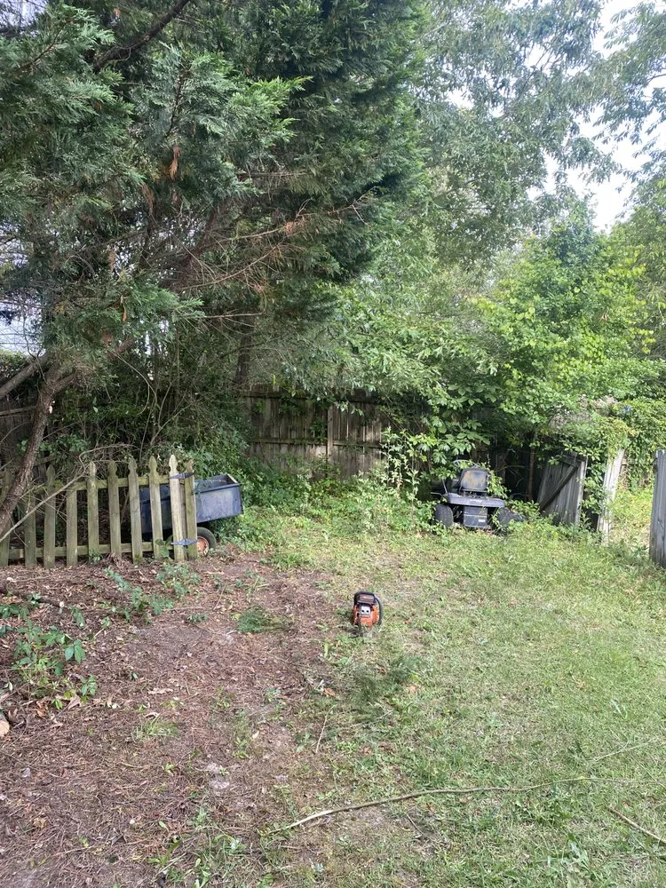 Expert landscaping services in Hope Mills, NC - Clear Grove Property Solutions