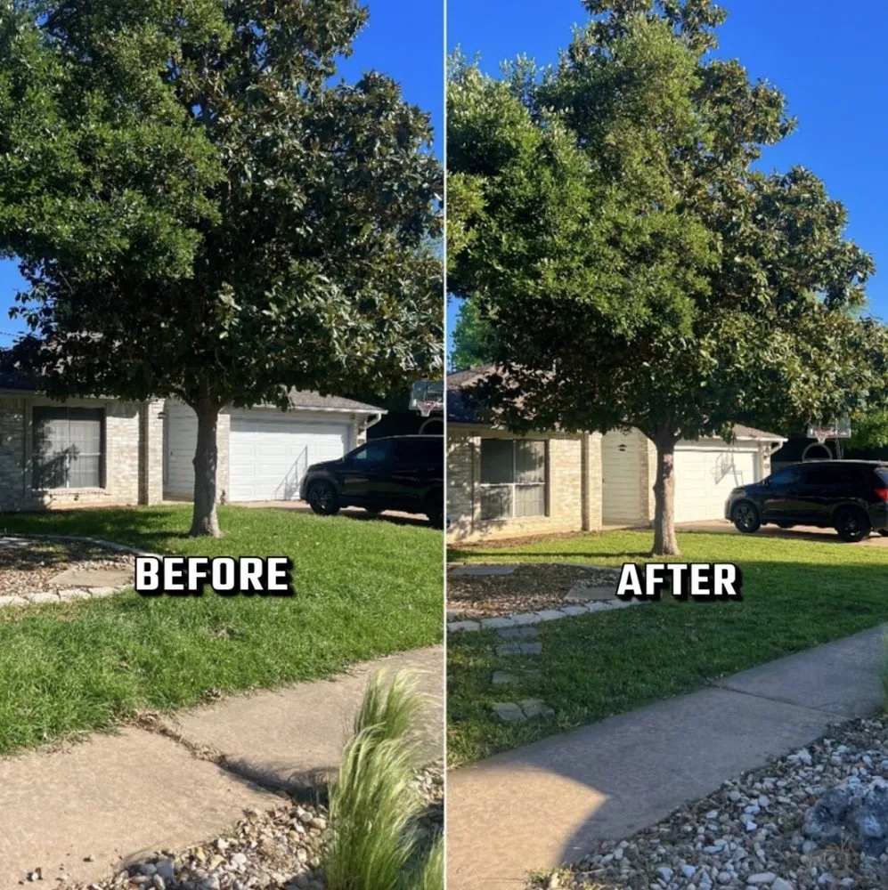 Custom landscape installation for homes across Pflugerville, TX - Clear Horizon Property